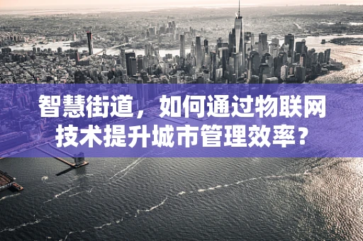 智慧街道，如何通过物联网技术提升城市管理效率？