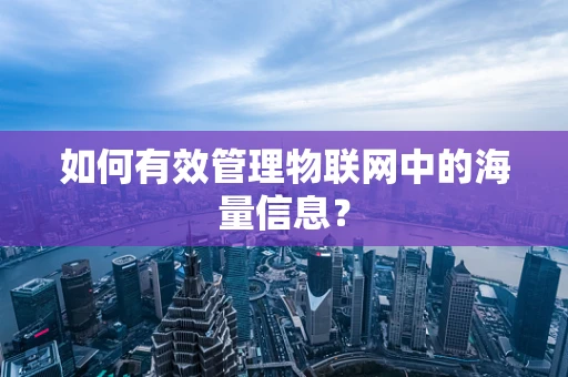 如何有效管理物联网中的海量信息？