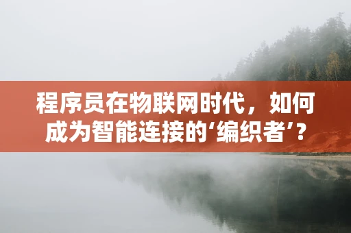 程序员在物联网时代，如何成为智能连接的‘编织者’？
