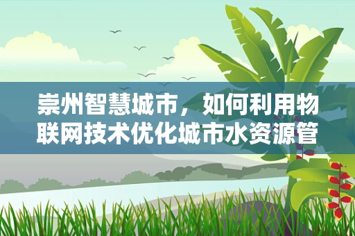 崇州智慧城市，如何利用物联网技术优化城市水资源管理？