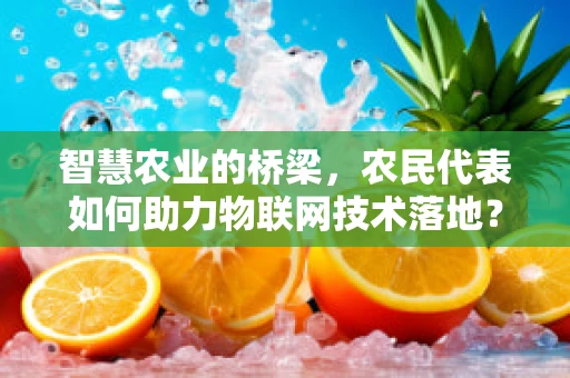 智慧农业的桥梁，农民代表如何助力物联网技术落地？