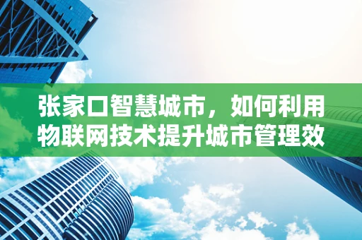 张家口智慧城市，如何利用物联网技术提升城市管理效率？