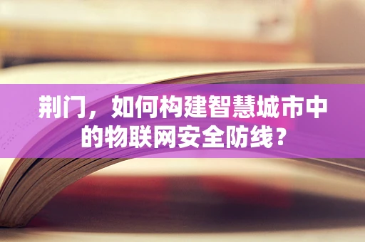 荆门，如何构建智慧城市中的物联网安全防线？