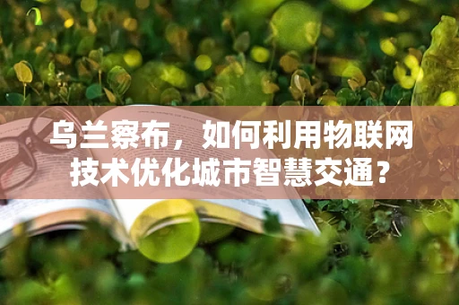 乌兰察布，如何利用物联网技术优化城市智慧交通？