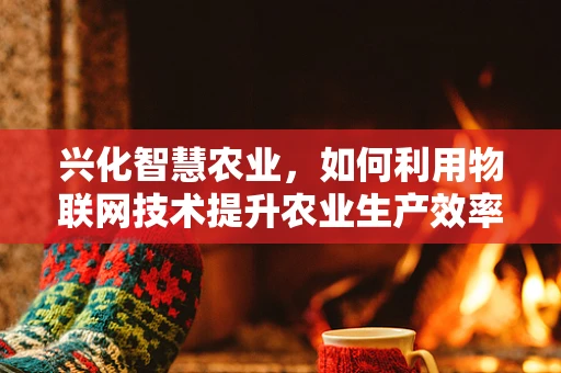 兴化智慧农业，如何利用物联网技术提升农业生产效率？