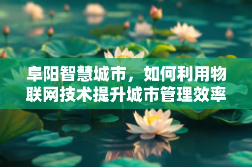 阜阳智慧城市，如何利用物联网技术提升城市管理效率？