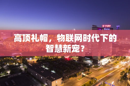 高顶礼帽，物联网时代下的智慧新宠？