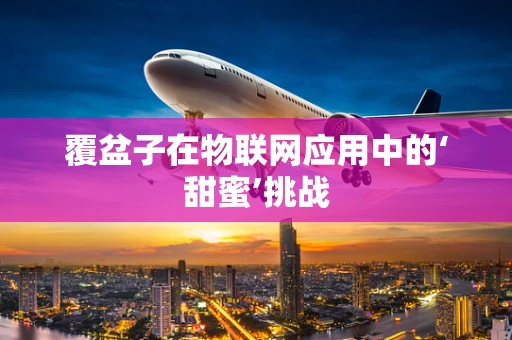 覆盆子在物联网应用中的‘甜蜜’挑战