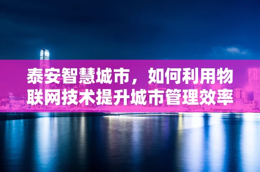 泰安智慧城市，如何利用物联网技术提升城市管理效率？
