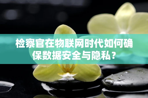 检察官在物联网时代如何确保数据安全与隐私？