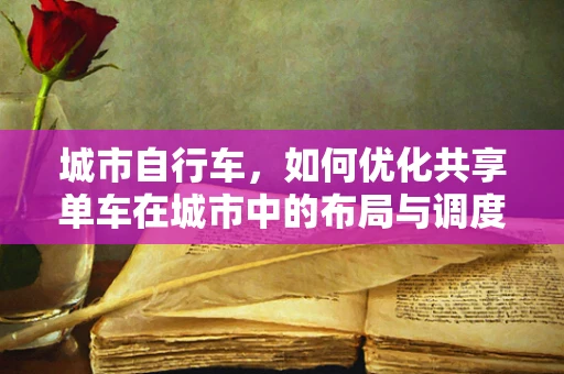 城市自行车，如何优化共享单车在城市中的布局与调度？