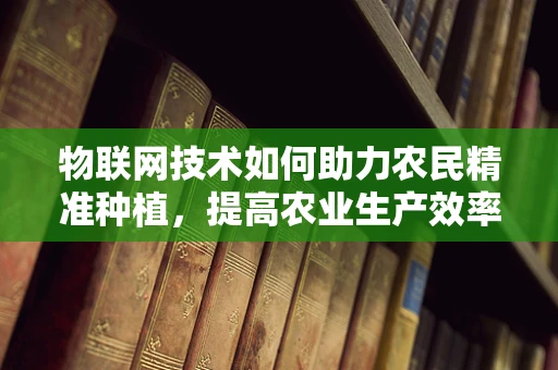 物联网技术如何助力农民精准种植，提高农业生产效率？