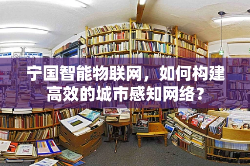 宁国智能物联网，如何构建高效的城市感知网络？