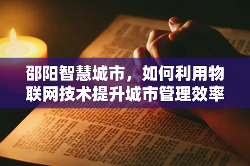 邵阳智慧城市，如何利用物联网技术提升城市管理效率？