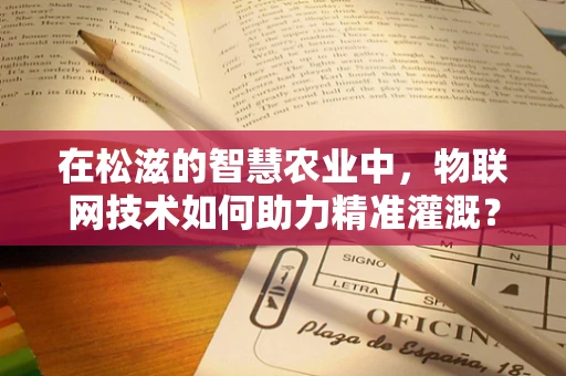 在松滋的智慧农业中，物联网技术如何助力精准灌溉？