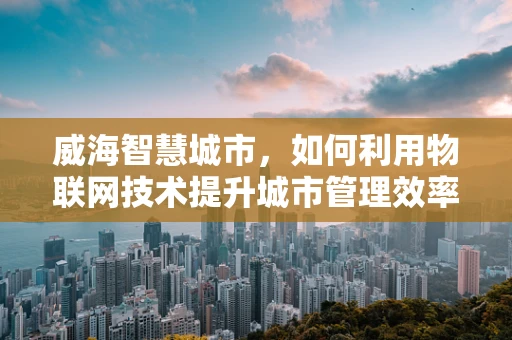 威海智慧城市，如何利用物联网技术提升城市管理效率？