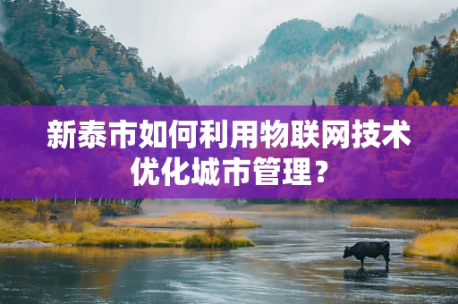 新泰市如何利用物联网技术优化城市管理？