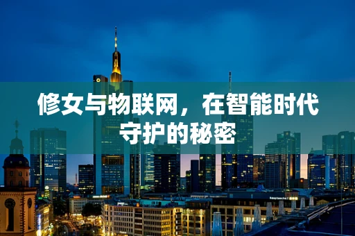 修女与物联网，在智能时代守护的秘密
