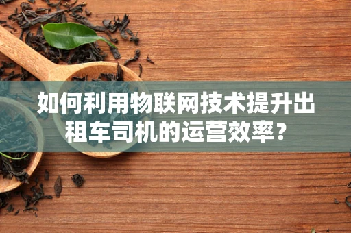 如何利用物联网技术提升出租车司机的运营效率？