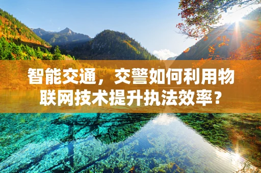 智能交通，交警如何利用物联网技术提升执法效率？