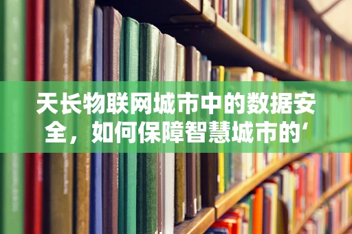 天长物联网城市中的数据安全，如何保障智慧城市的‘心脏’跳动无忧？
