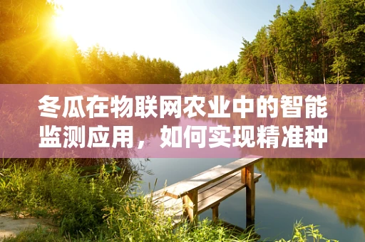 冬瓜在物联网农业中的智能监测应用，如何实现精准种植？
