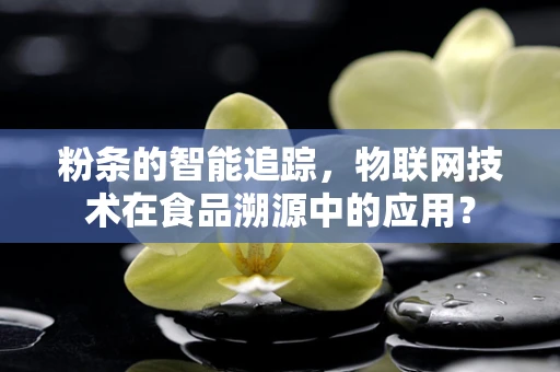 粉条的智能追踪，物联网技术在食品溯源中的应用？