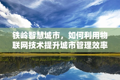 铁岭智慧城市，如何利用物联网技术提升城市管理效率？