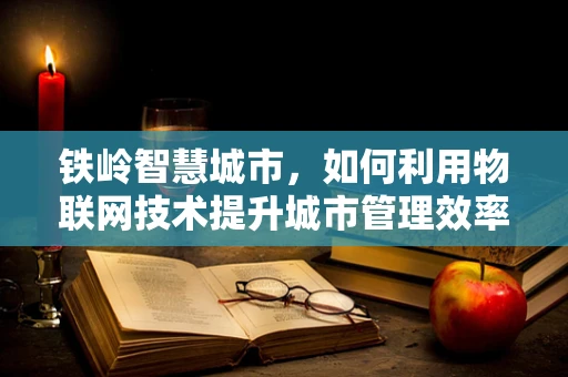 铁岭智慧城市，如何利用物联网技术提升城市管理效率？
