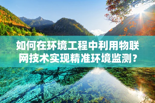 如何在环境工程中利用物联网技术实现精准环境监测？