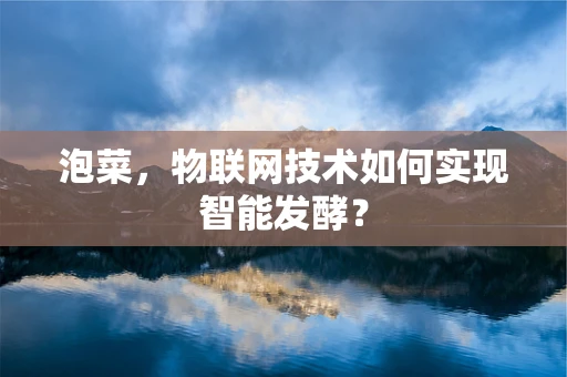 泡菜，物联网技术如何实现智能发酵？