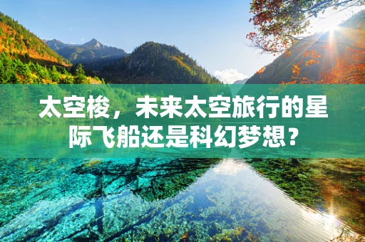太空梭，未来太空旅行的星际飞船还是科幻梦想？