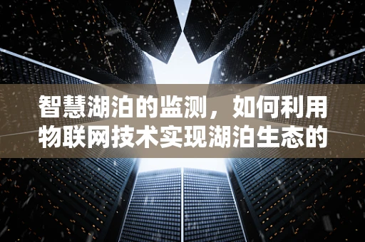 智慧湖泊的监测，如何利用物联网技术实现湖泊生态的精准管理？