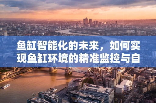 鱼缸智能化的未来，如何实现鱼缸环境的精准监控与自动调节？