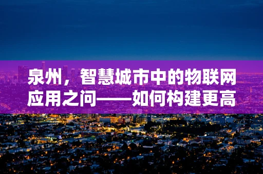 泉州，智慧城市中的物联网应用之问——如何构建更高效的公共安全监测网？