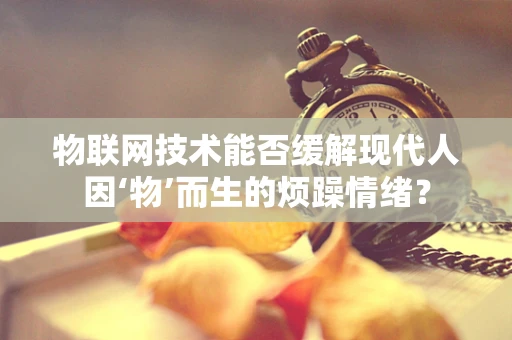 物联网技术能否缓解现代人因‘物’而生的烦躁情绪？