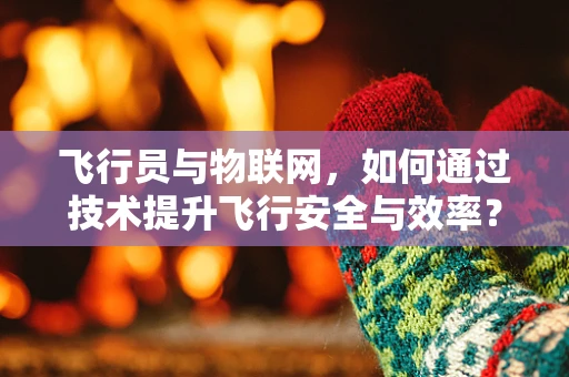 飞行员与物联网，如何通过技术提升飞行安全与效率？