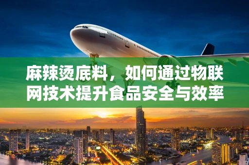 麻辣烫底料，如何通过物联网技术提升食品安全与效率？
