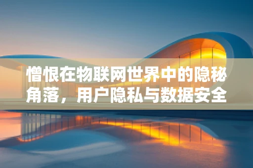 憎恨在物联网世界中的隐秘角落，用户隐私与数据安全的伦理边界