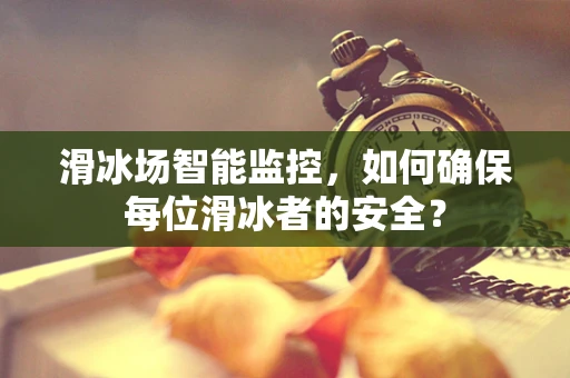 滑冰场智能监控，如何确保每位滑冰者的安全？