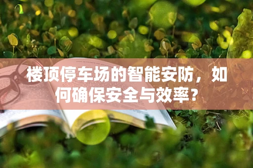 楼顶停车场的智能安防，如何确保安全与效率？