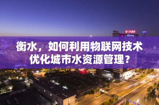 衡水，如何利用物联网技术优化城市水资源管理？