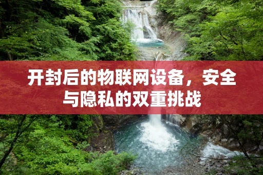 开封后的物联网设备，安全与隐私的双重挑战
