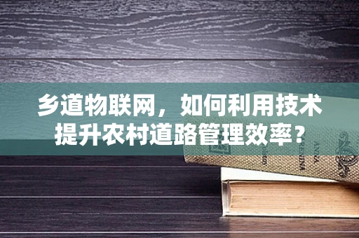 乡道物联网，如何利用技术提升农村道路管理效率？