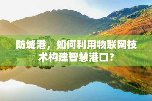 防城港，如何利用物联网技术构建智慧港口？