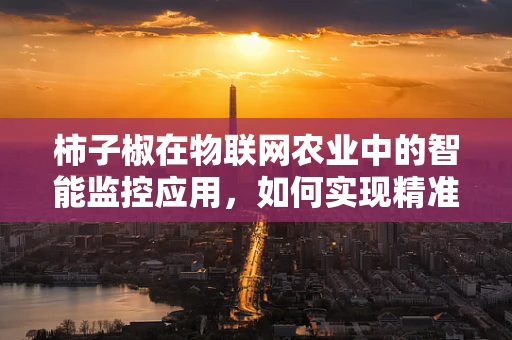 柿子椒在物联网农业中的智能监控应用，如何实现精准管理？