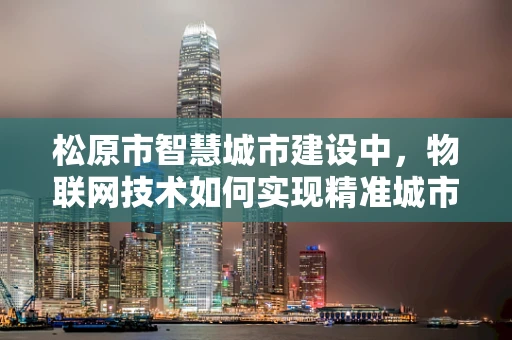 松原市智慧城市建设中，物联网技术如何实现精准城市管理？