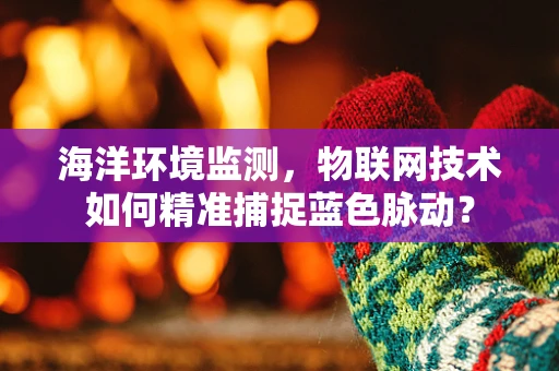 海洋环境监测，物联网技术如何精准捕捉蓝色脉动？