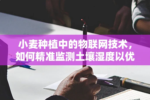 小麦种植中的物联网技术，如何精准监测土壤湿度以优化灌溉？