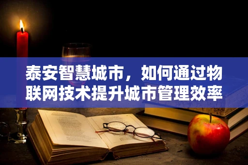 泰安智慧城市，如何通过物联网技术提升城市管理效率？
